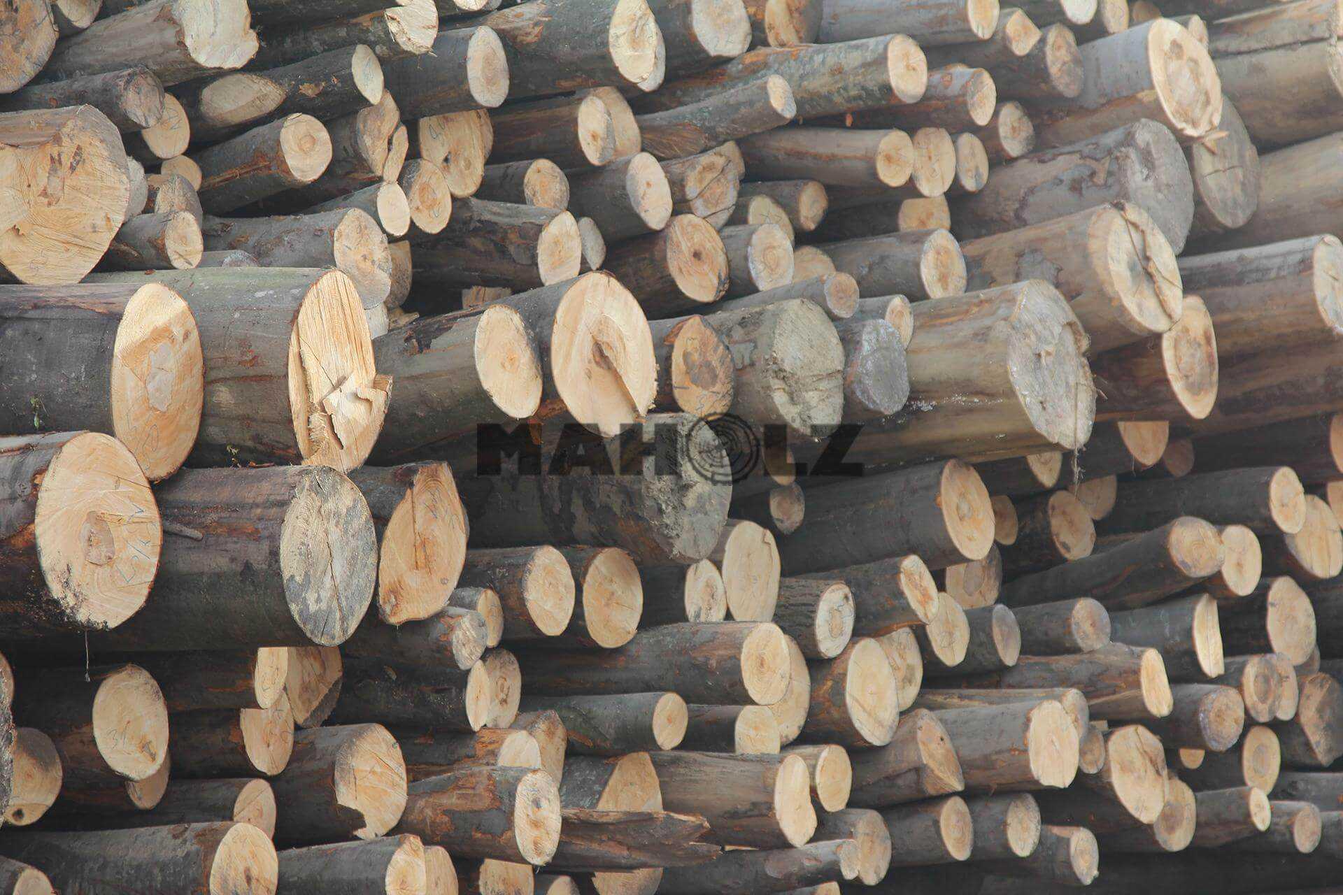 Gulatina, palivové drevo